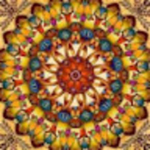 Meet your Posher, Abbey